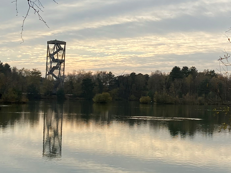 Uitkijktoren Sahara - Reus van Bosland